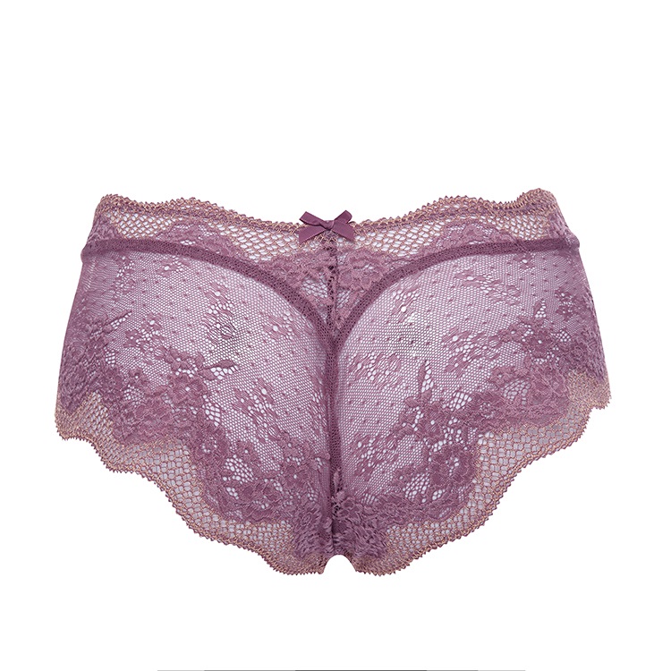 selmark/赛马可 19秋冬欧洲进口女士内裤 60605