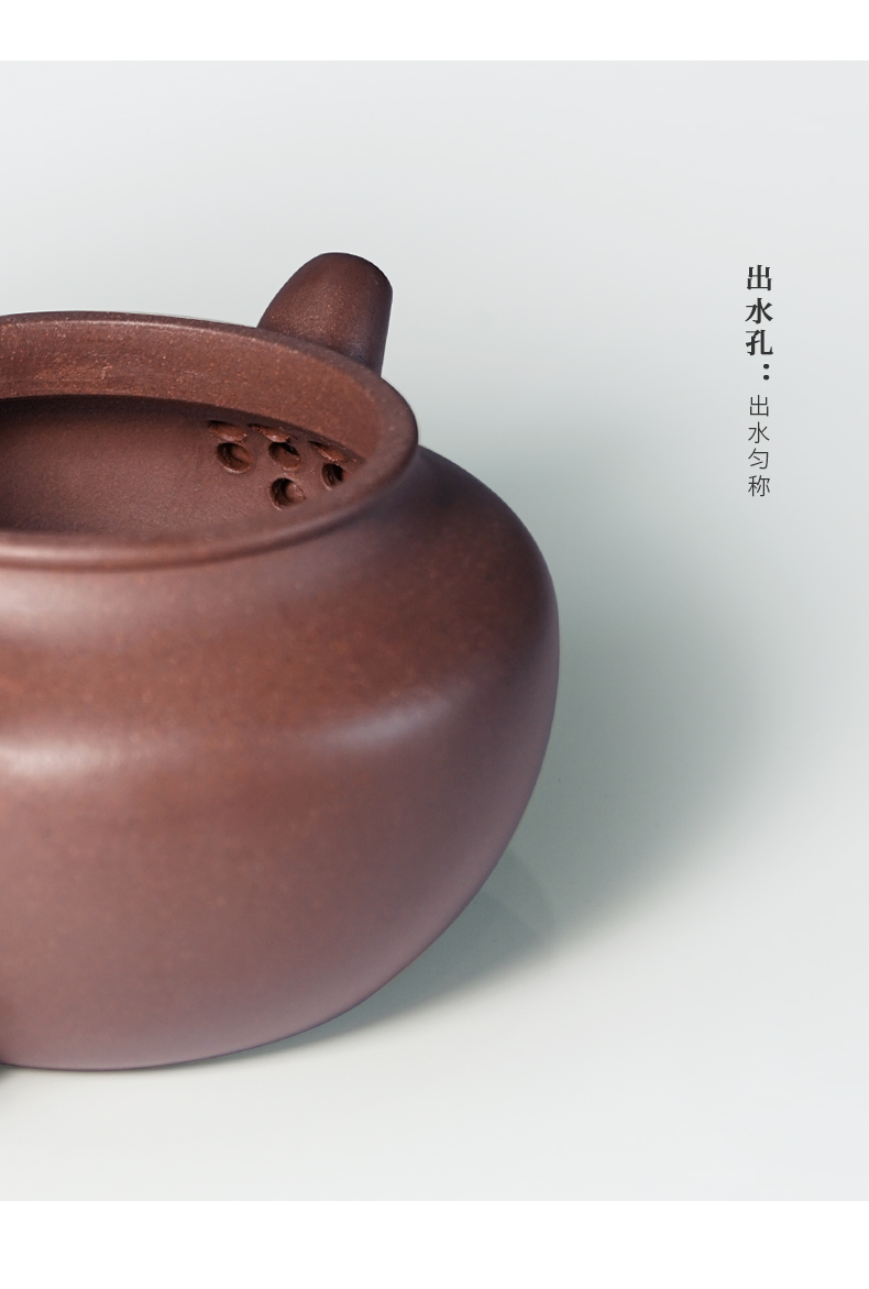 yuchengyao茶具/玉成窑张生品定莲子紫砂壶〔hs15516]