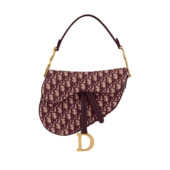 ˰DIOR/ϰ 19¿SADDLE DIOR OBLIQUEŮʿ (2ɫѡ