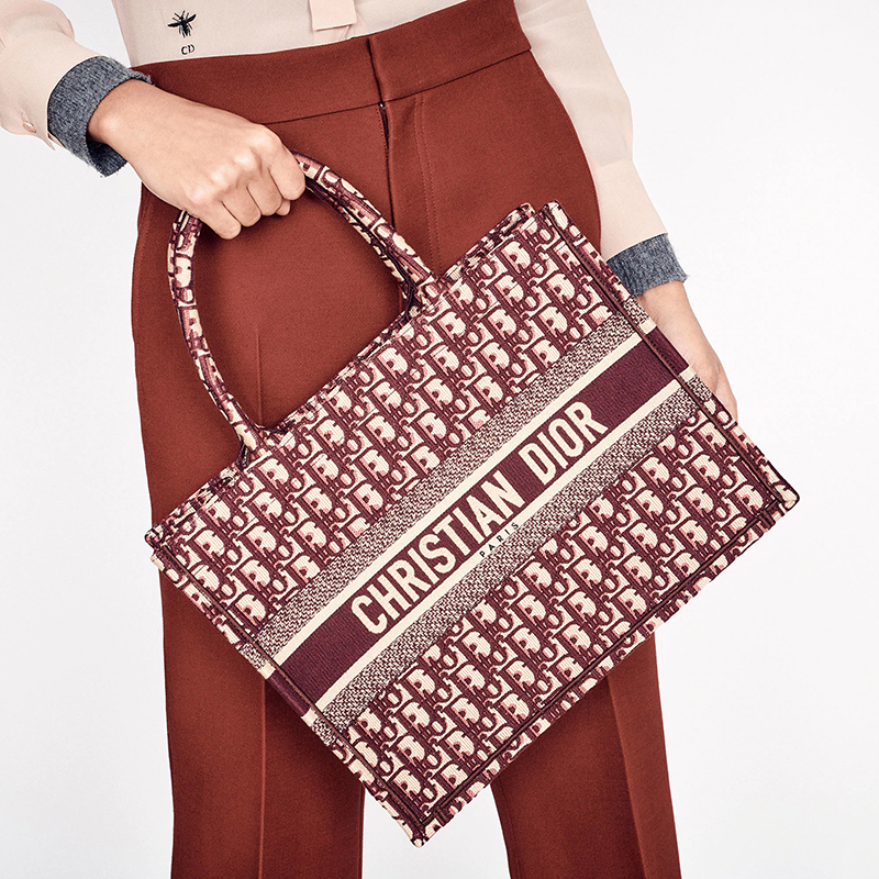 迪奥 2020春夏新款book tote系列 经典刺绣老花帆布小号手提托特 