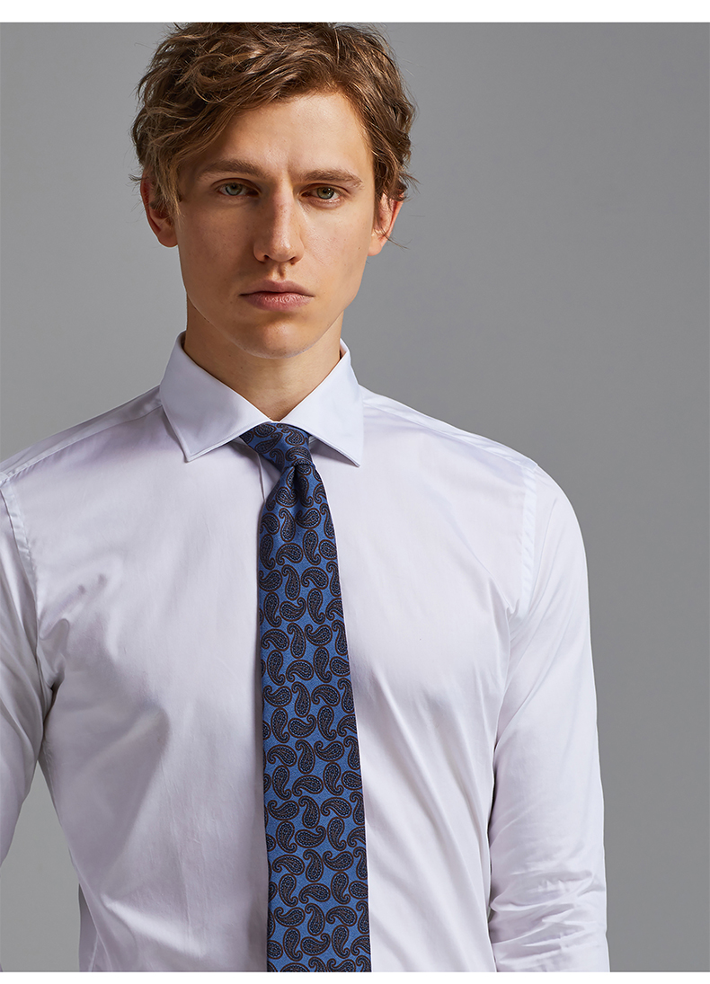 lite/柏品 意大利进口长绒棉纯棉面料 四季款商务男士长袖衬衫