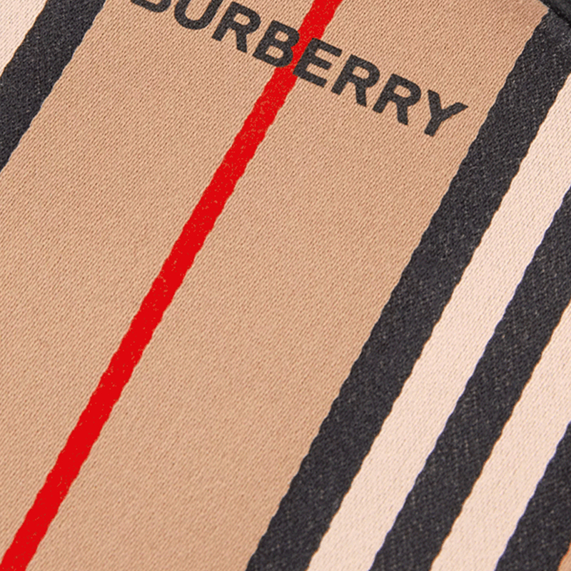 burberry/博柏利 女包经典款女士驼色条纹字母徽标圆饼形棉质拉链单肩