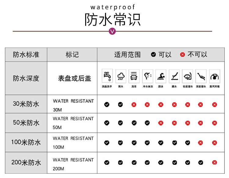 RADO/雷达瑞士手表 钻霸系列时尚简约款机械女士手表 33mm白盘罗马刻度皮表带 R14050126