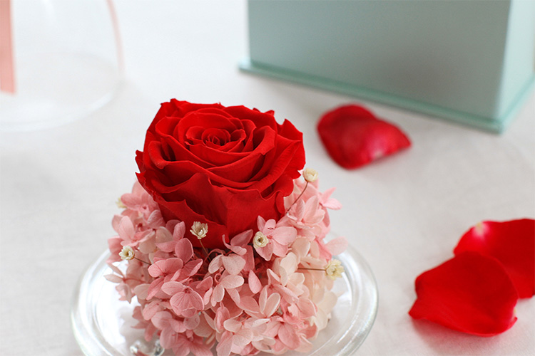 FLOWERSONG/一生一世-爆款特惠-厄瓜多尔进口永生红玫瑰花1朵