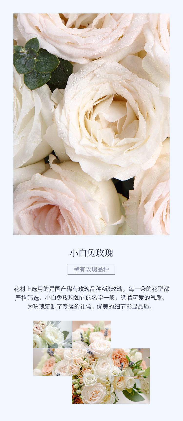 花礼/瓦尔登湖畔/设计师臻选奶白色玫瑰（小白兔）19枝鲜花/七夕情人节求婚表白生日礼物鲜花/当日达