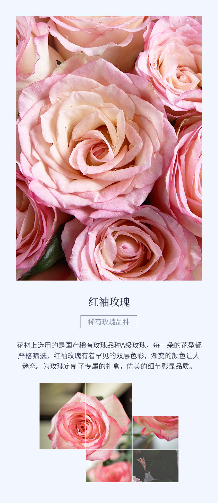花礼/天使之吻/设计师臻选白粉色玫瑰鲜花/七夕情人节求婚表白生日礼物鲜花/当日达