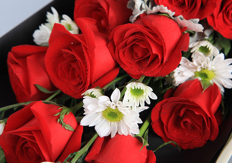 花礼/浪漫告白/卡罗拉红玫瑰11枝、白色小雏菊4枝/七夕情人节礼物鲜花送人/当日达