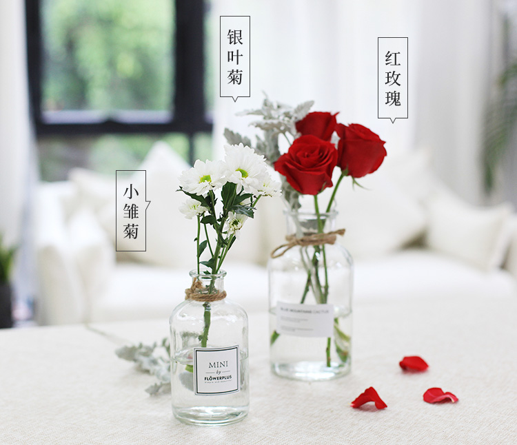 花礼/浪漫告白/卡罗拉红玫瑰11枝、白色小雏菊4枝/七夕情人节礼物鲜花送人/当日达