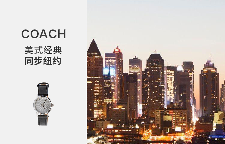 【国内现货】COACH/蔻驰  女士表盘logo表盘时尚石英手表  1450340