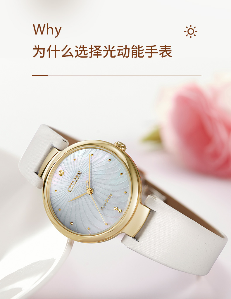 Citizen/西铁城西铁城 CITIZEN 手表 光动能手表女表皮带EM0853-22D