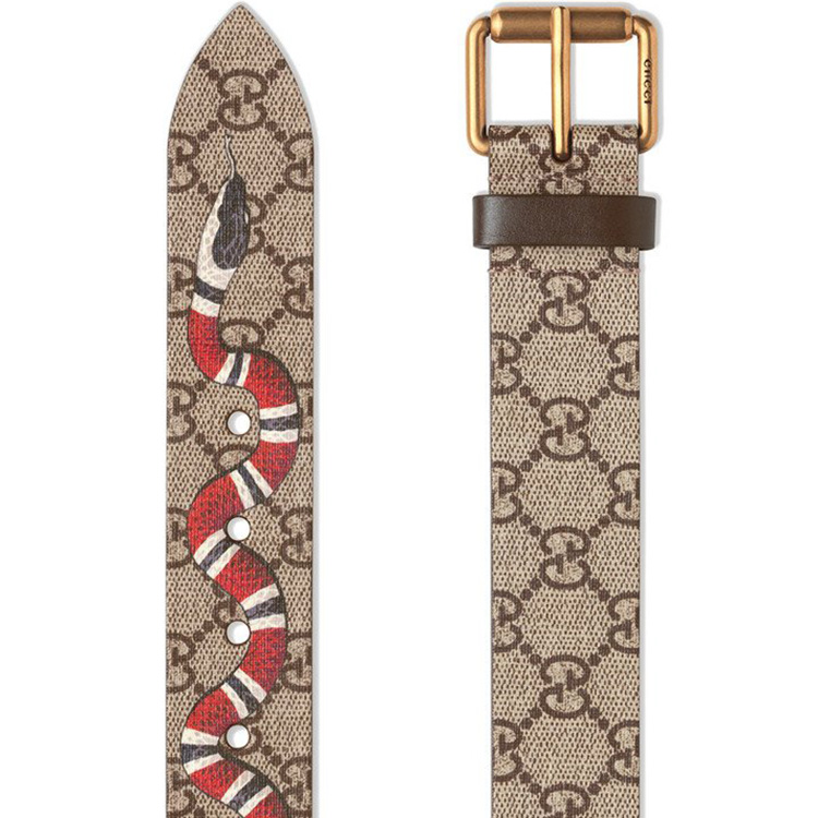 gucci/古驰 珊瑚蛇印花高级人造帆布腰带 434520 k5o1t
