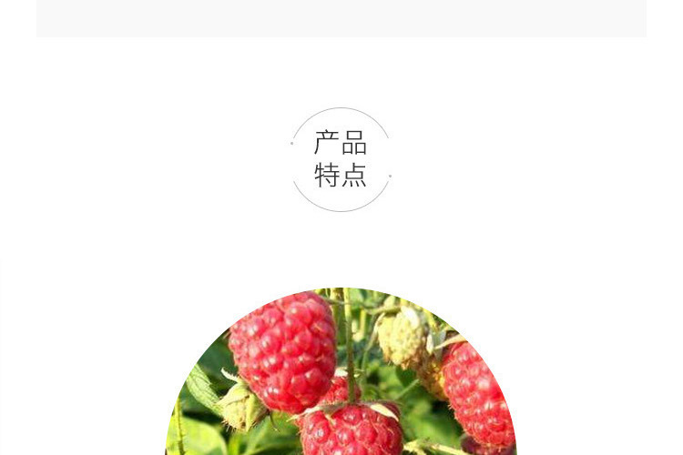 2a1b8b0eb00043c9ba8e701e975b760b15959270737350742C6F00CC016FB7003EBFBC6A22FEA (2).jpg