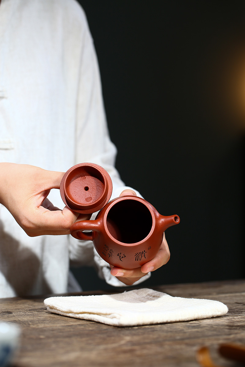 国工刘志明宜兴紫砂紫砂茶具纯手工高石瓢刻绘菊花原矿朱泥240cc