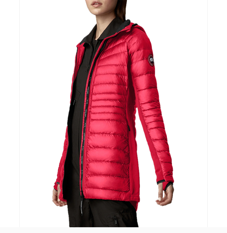 goose/加拿大鹅 女款 hybridge lite tech 羽绒连帽大衣 女士羽绒服