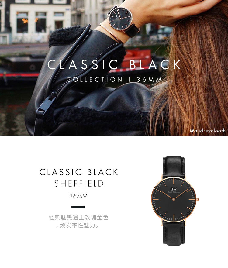 Daniel Wellington/丹尼尔惠灵顿女士腕表时尚简约DW手表女