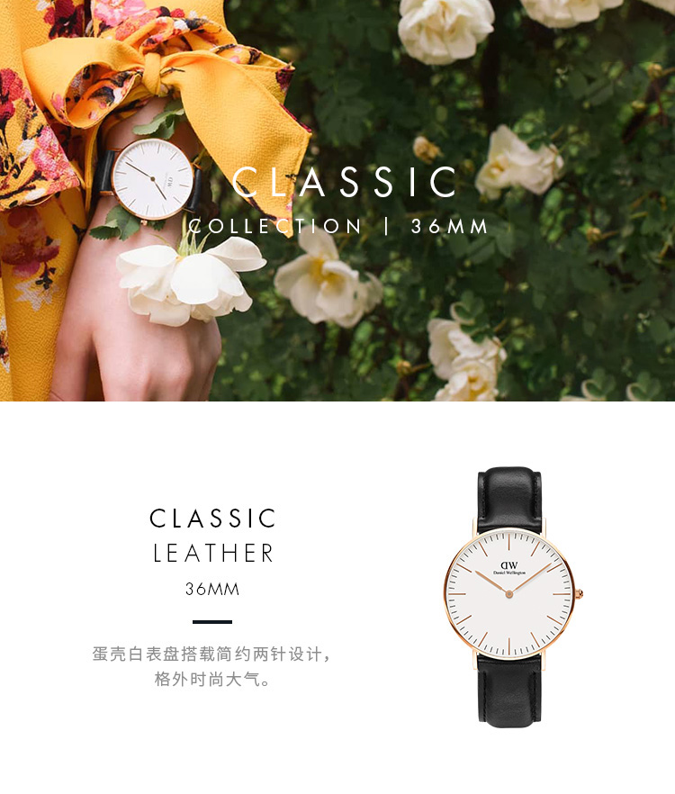 Daniel Wellington/丹尼尔惠灵顿进口DW女士手表简约时尚石英女表