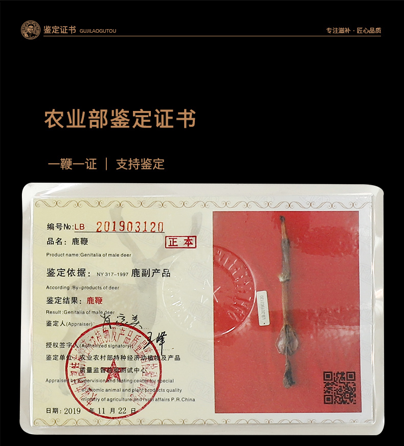 鹿茸价格:一场市场的自然演变