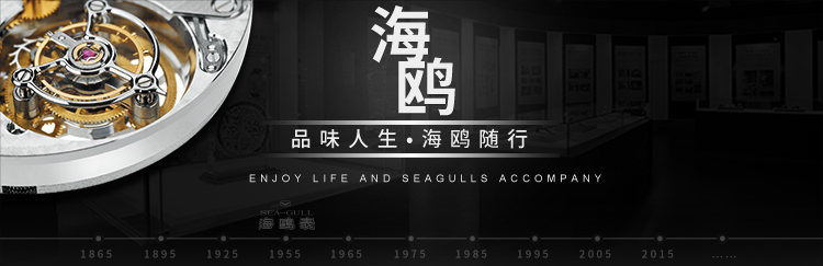 SEA-GULL/海鸥表 海洋系列自动机械手表男士 200米潜水腕表 男表 海洋之星 816.523