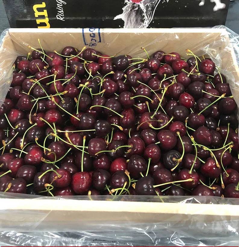 智利车厘(进口)当季新鲜特大樱桃孕妇时令水果黑珍珠整箱顺丰空运