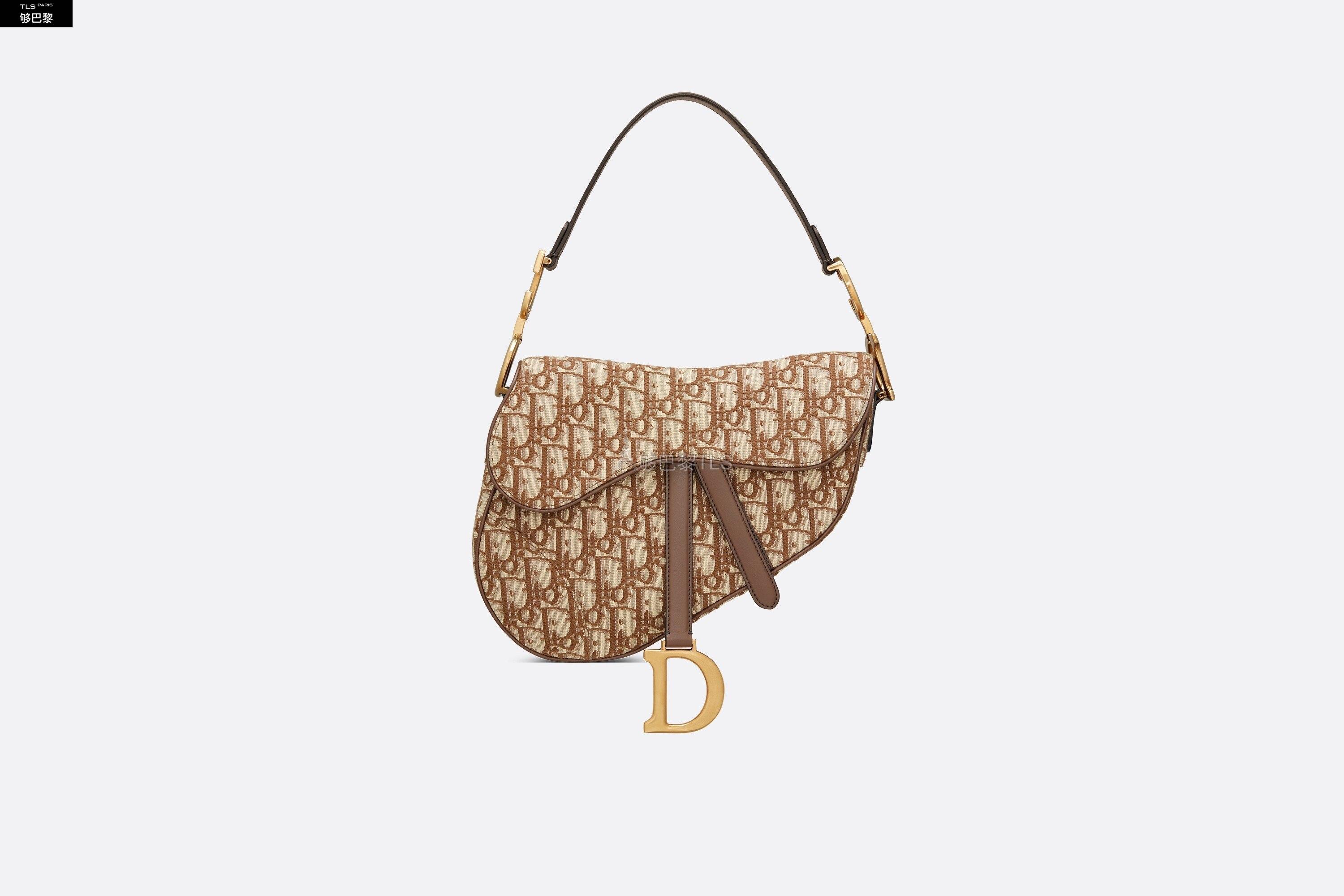 【包邮包税】 dior迪奥 21年春夏 女士 手提包 马鞍包-棕色-oblique