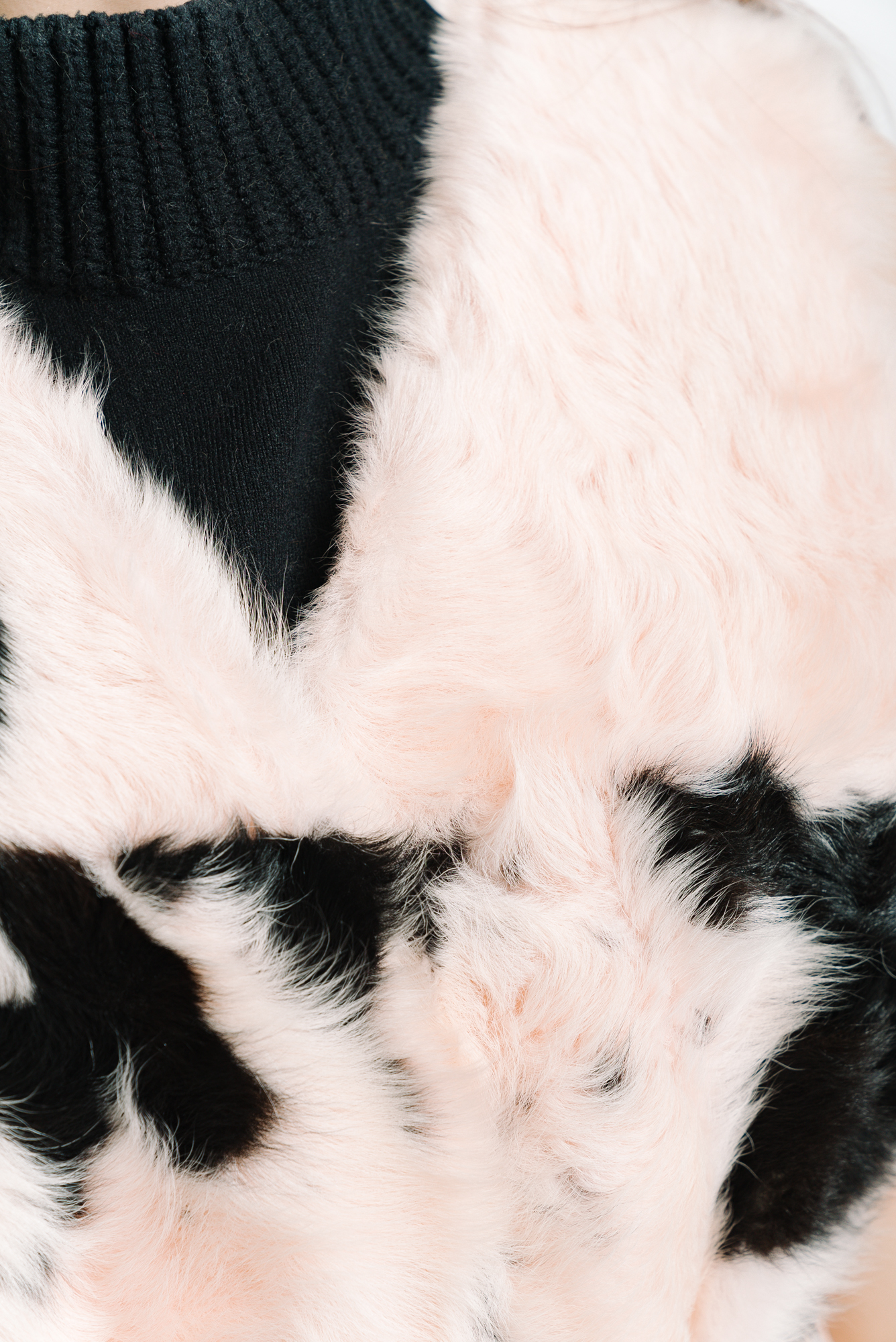 befurs/befurs,分类:女士皮草 干枯玫瑰粉 羊羔毛奶牛花纹h型皮毛一体