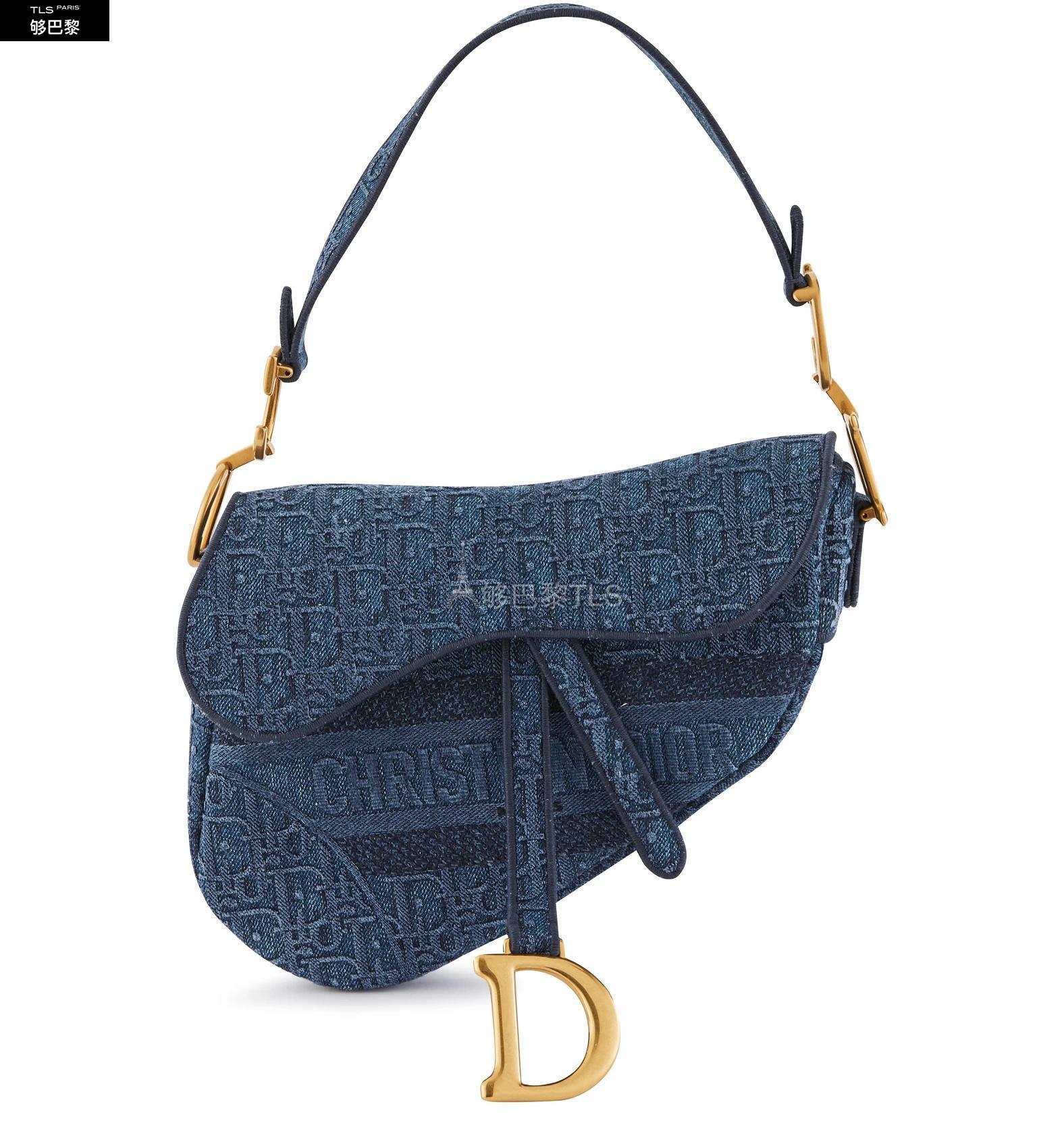 【包邮包税】 dior迪奥 21年春夏 女士 单肩包 saddle 中号刺绣手袋