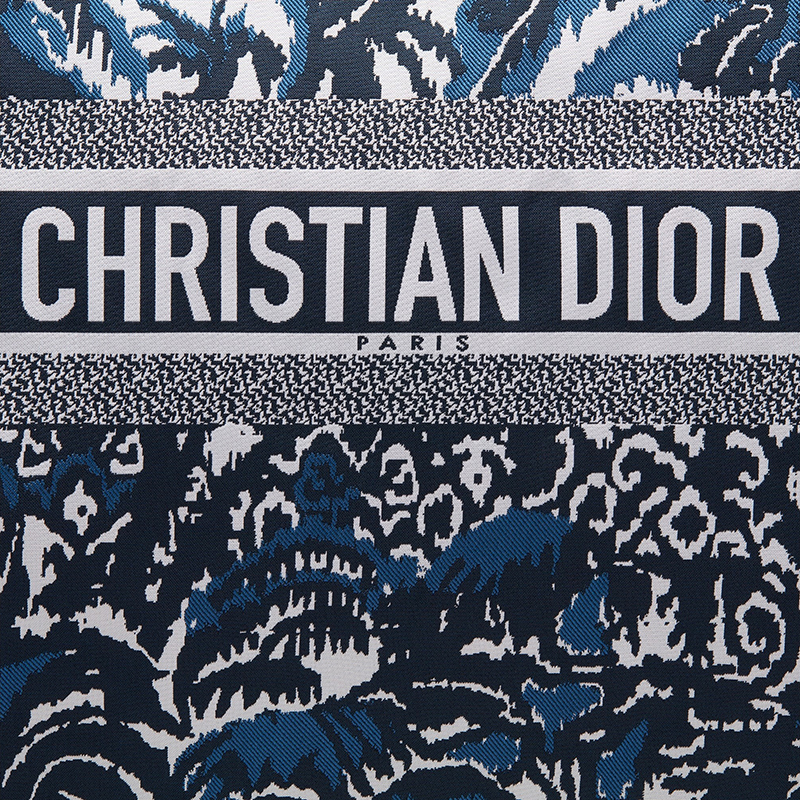 21春夏新款diortravel系列 蓝色dior palms图案技术面料拉链袋手拿包