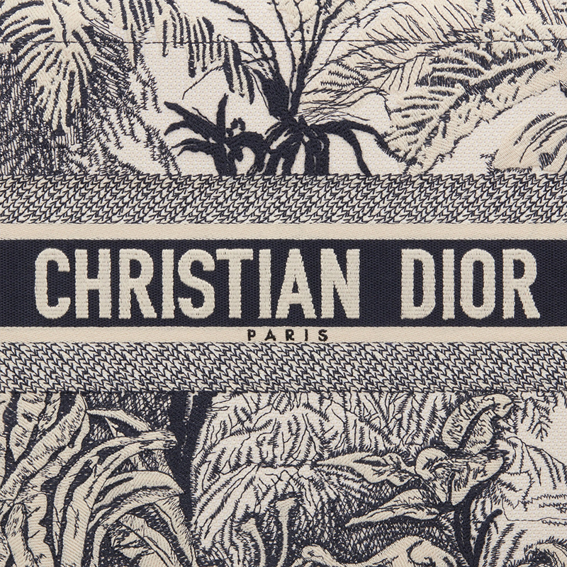 tote系列 蓝色toile de jouy图案技术面料palms主题christian dior