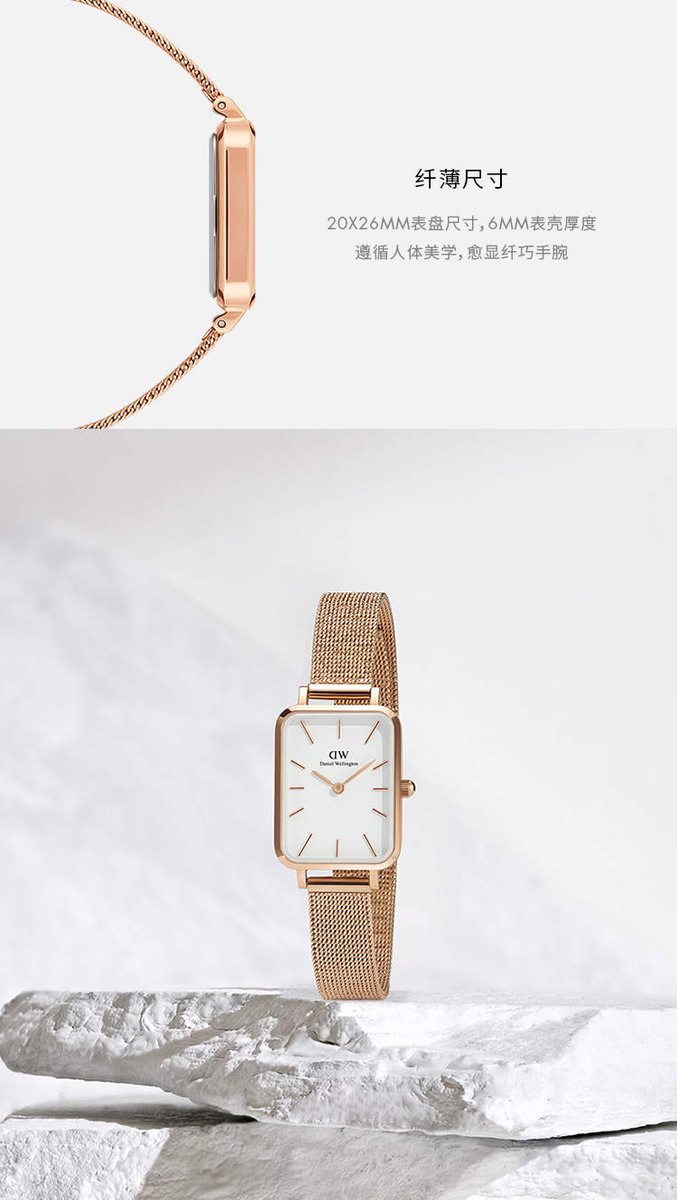 Daniel Wellington/丹尼尔惠灵顿DW小白方表手表女 时尚复古麦穗钢带女表