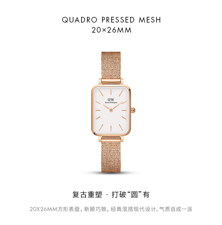 Daniel Wellington/丹尼尔惠灵顿DW小白方表手表女 时尚复古麦穗钢带女表