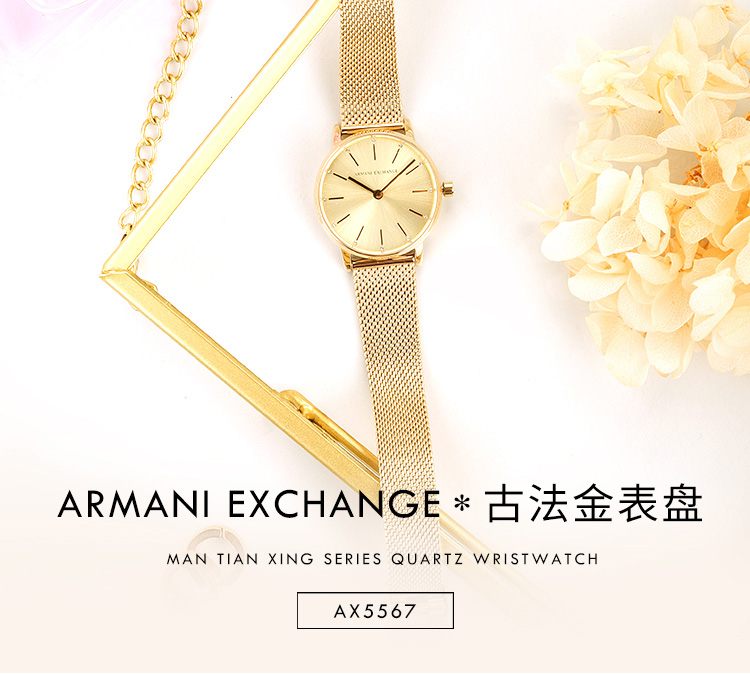 阿玛尼手表 ARMANI EXCHANGE/ARMANI EXCHANGE简约休闲钢带石英女士腕表AX5567