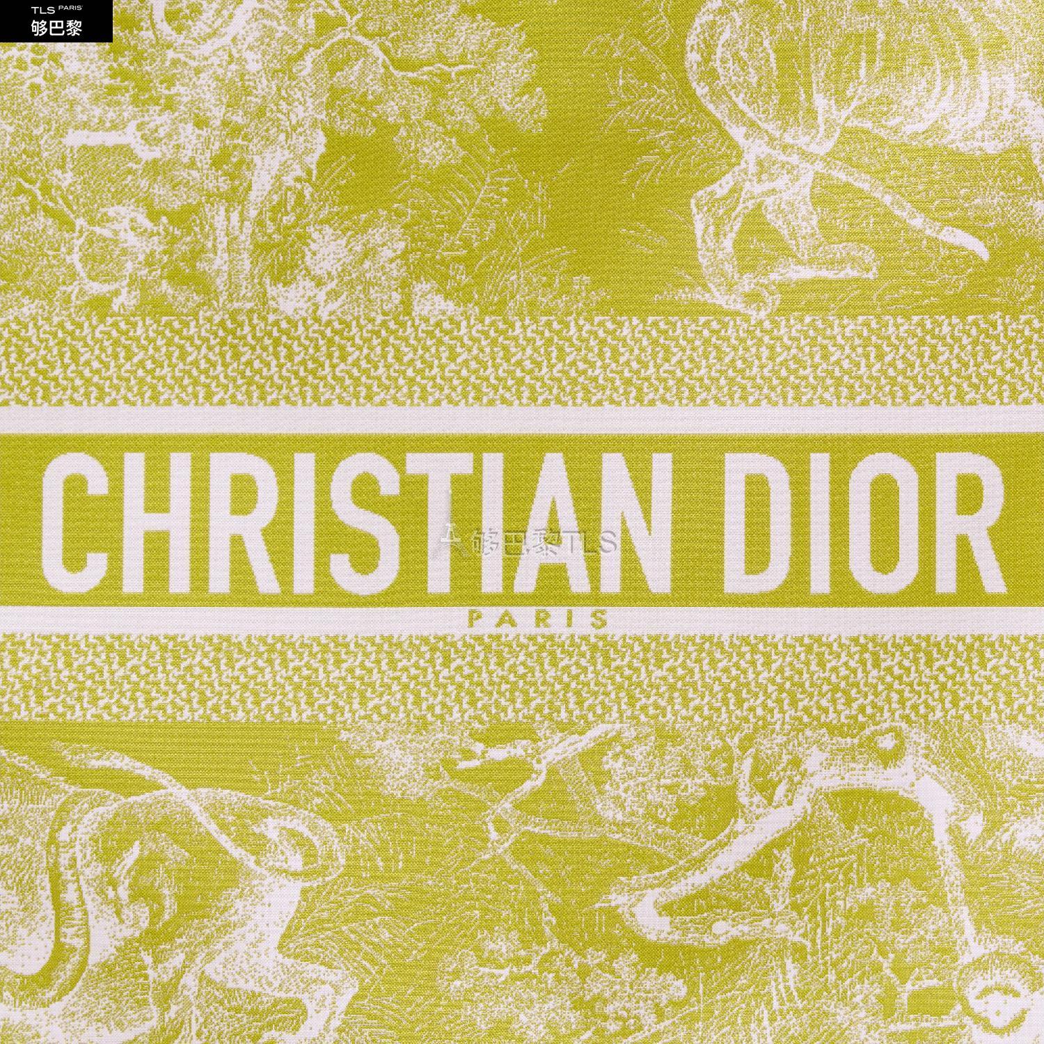 【包邮包税】 dior迪奥 21年春夏 女士 手拿包 拉链手拿包-绿黄色科技