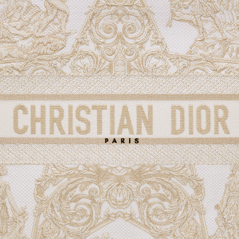 迪奥 21秋冬新款book系列 女士金色around the world stella图案刺绣