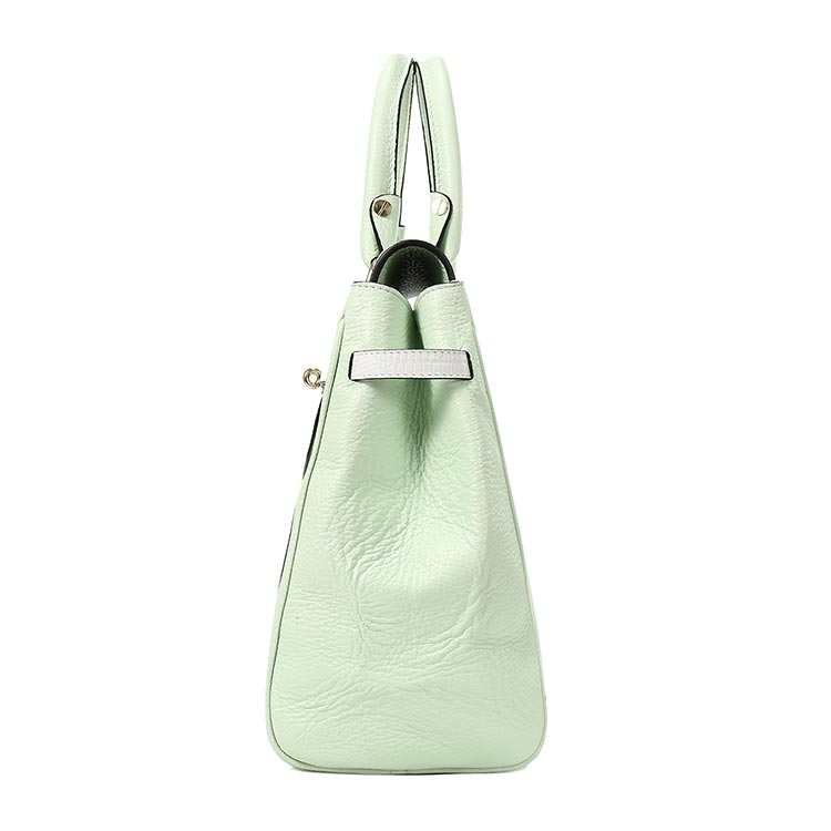 qi ta pin pai(其它品牌) barbara薄荷绿色皮质大号手提包