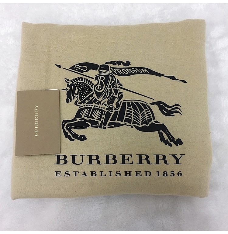 burberry(博柏利 红色皮质两用包