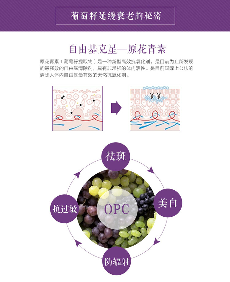 高濃縮葡萄籽精華12000mg*180粒 美容養顏抗衰老